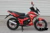 Мопед PROMAX STREET CROSS 150 (49)
