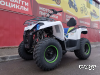 Квадроцикл PROMAX RENEGADE 280 (2025)