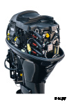 4х-тактный лодочный мотор REEF RIDER RREF30FEL-T