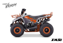 Квадроцикл FAIDET VENOM 125