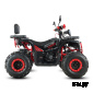 Квадроцикл WHITE SIBERIA BARS L200
