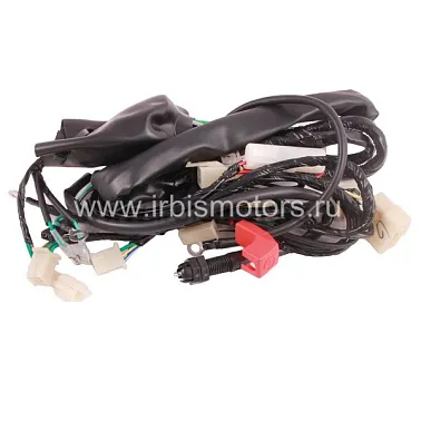 Жгут проводов ACTIV, EX110, IROKEZ