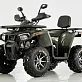 Квадроцикл TAO MOTOR Shark 200
